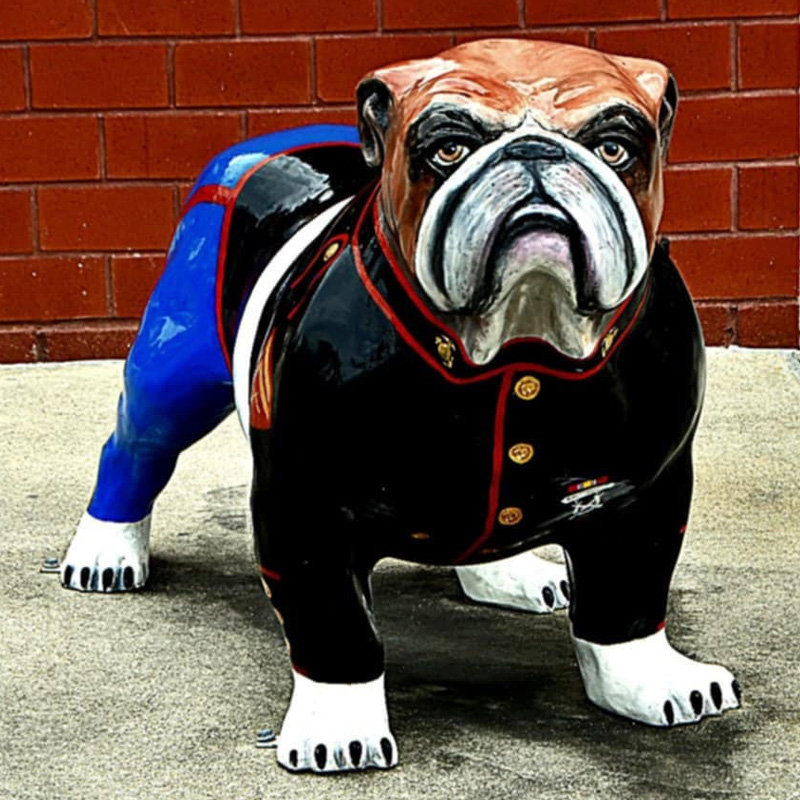 Marine Bulldog mascot. CIF Cleaning Jacksonville NC location.